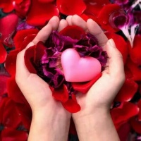 سوده 82 آواتار ها