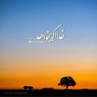 تولددوباره آواتار ها