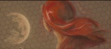 Glut.tiny آواتار ها