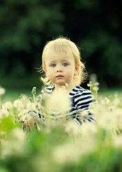 شهراز آواتار ها