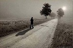 مسافر دنیا آواتار ها